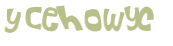 Captcha-Test