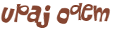 CAPTCHA 挑戰