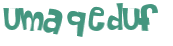 Prueba Captcha