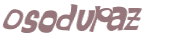 CAPTCHA 挑戰