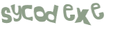 Sfida captcha
