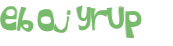 Captcha 챌린지