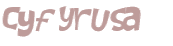 CAPTCHA 挑戰