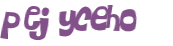 Captcha-Test