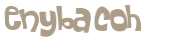 Captcha 챌린지