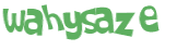 CAPTCHA 挑戰