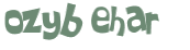 Sfida captcha