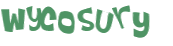 Wyzwanie captcha