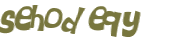 Captcha 챌린지