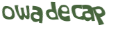 Desafio captcha