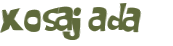 Captchafråga