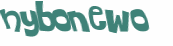 Wyzwanie captcha