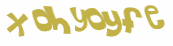 CAPTCHA 挑戰