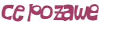 Captcha 챌린지