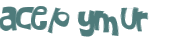 CAPTCHA 挑戰