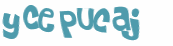Wyzwanie captcha