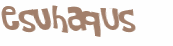 Desafio Captcha