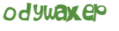 Wyzwanie captcha