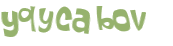 Captcha-Test