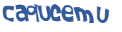 Captcha 챌린지