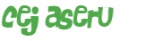 Captcha-Test