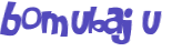 CAPTCHA 挑戰