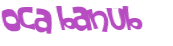 CAPTCHA 挑戰