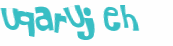 Captchafråga
