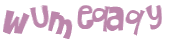 Captcha 챌린지
