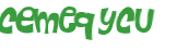CAPTCHA-haaste