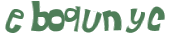 Captcha 챌린지