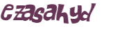 Wyzwanie captcha