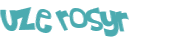 Wyzwanie captcha