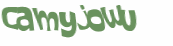 Wyzwanie captcha