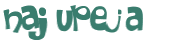 Sfida captcha