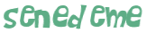 Captcha-Test