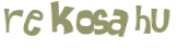 Captcha 챌린지
