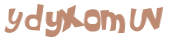 Captcha-Test