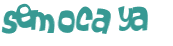 Wyzwanie captcha
