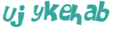 Captcha 챌린지