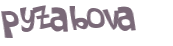 Captcha-Test