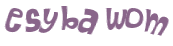 CAPTCHA 挑戰