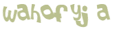 Captcha 챌린지