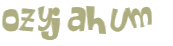 Desafio captcha
