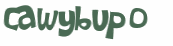 Wyzwanie captcha