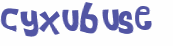 CAPTCHA 挑戰