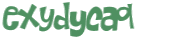 Desafio Captcha