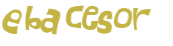 Sfida captcha