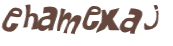 Desafio Captcha