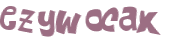 Captcha 챌린지